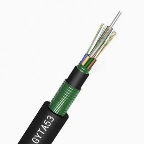 2021 Standard Loose Tube Armored Optical Fiber Cable GYTA53